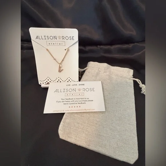 NWT Allison Rose Atelier 14K Gold Plated "V" Initial Necklace - Picture 2 of 6